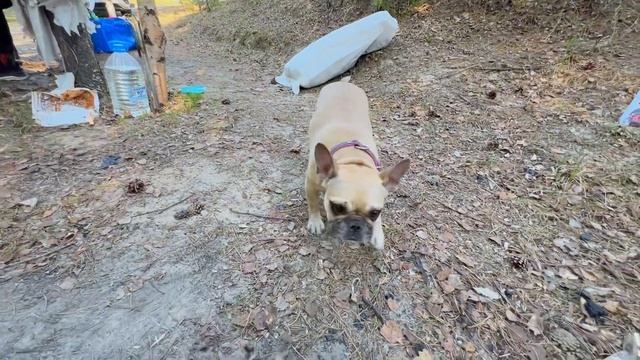 Майский отдых на природе. Открыли сезон плова на костре