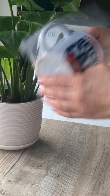 Зайка - выпускница детского сада