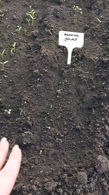 Эксперимент!