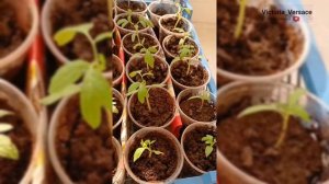 Доброе утречко, обещает хорошим! #утро