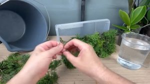 Жизнь вне  орхидей- заботы на НОЧЬ «Не потопаешь — не полопаешь!»