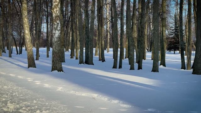 Подвижники Куликова поля. Николай Иванович Кривцов
