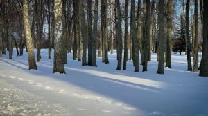 Подвижники Куликова поля. Николай Иванович Кривцов