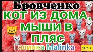 Семья Бровченко _Кот из дома, мыши в пляс_ Обзор Влогов _