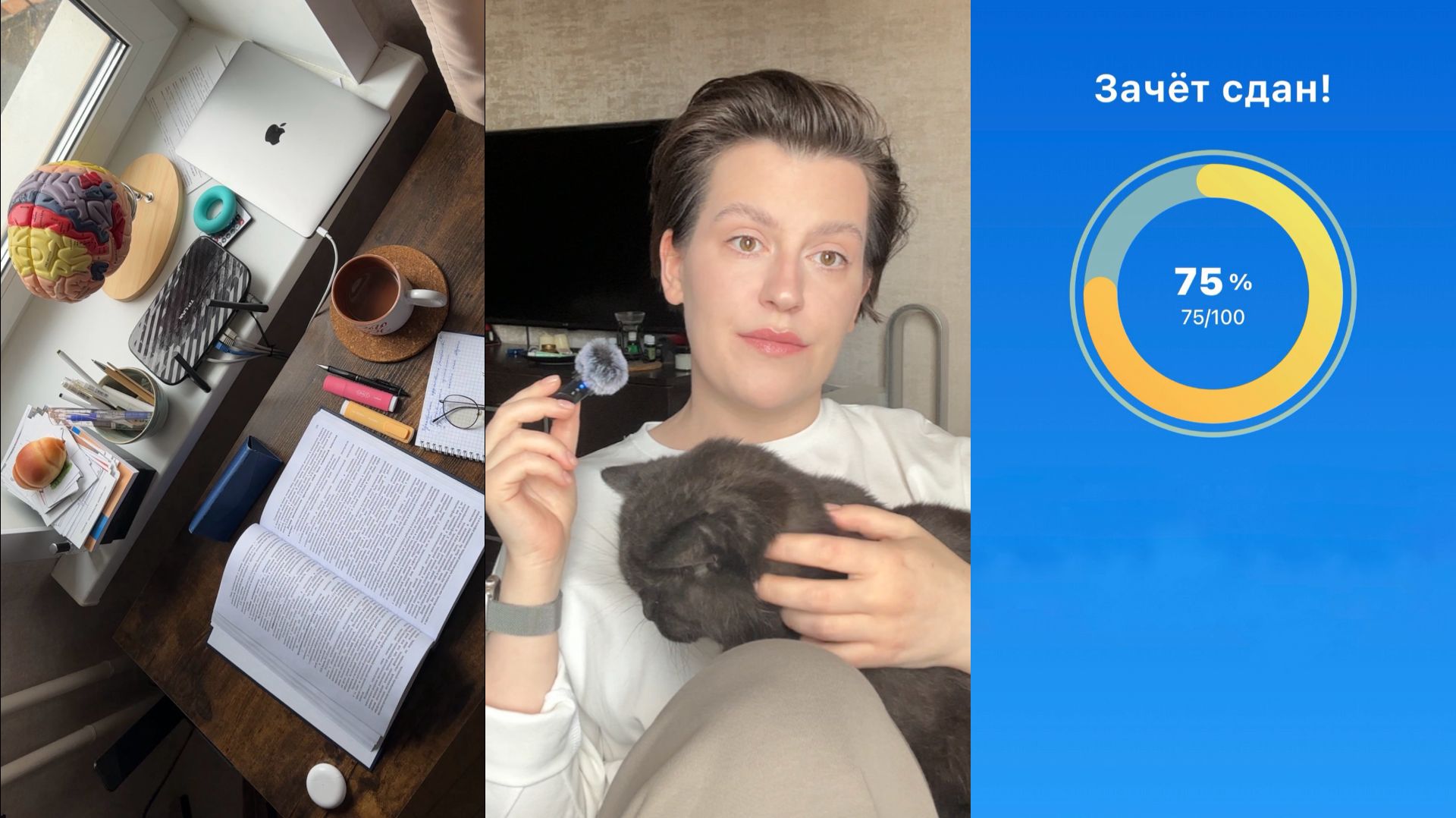 Путь становления клинического психолога