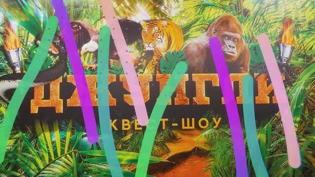 Квест-шоу "Джунгли"