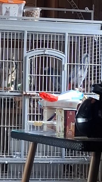 ПОТАНЦУЕМ  ...🫠🤪🫡