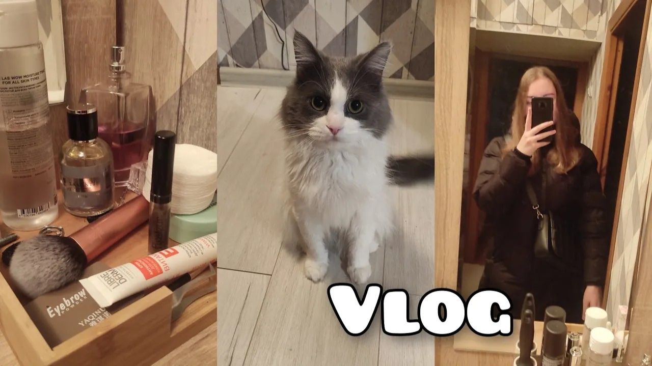 АРХИВ 2024 L Vlog: снится старая работа - к чему бы это? | 06.02.2024