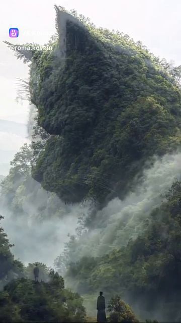 Кот из деревьев