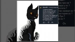 отвечаю на вопросы Иглы кв,Мятного чая!ЗАДАВАЙТЕ ВОПРОСЫ И В СЛЕДУЮЩЕМ ВИДЕО Я ОТВЕЧУ НА НИХ!!!