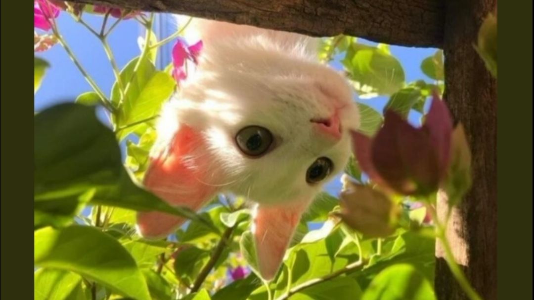 Это влог с обычного понедельник