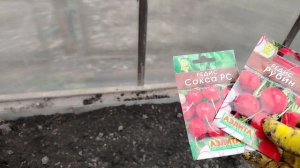 Видео привет 6 апреля 2026 года. Грядка для огурцов.