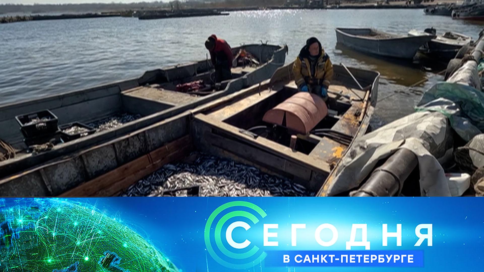 «Сегодня в Санкт-Петербурге»: 7 апреля 2026 года