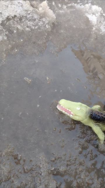 Просто балуемся 😁