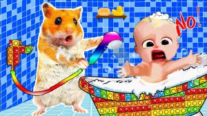 Мистер Хомяк купает босса молокососа, мультик/видео про Хомяков