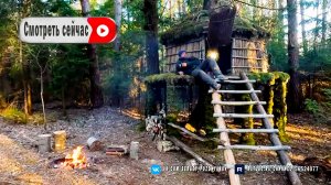 Я отремонтировал своё старое убежище и провел там ночь, добывая березовый сок