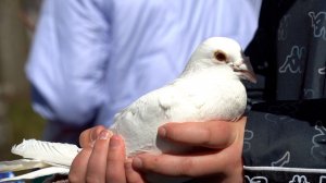 Благовещение во Дворе Постникова