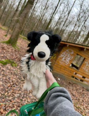 трансляция Лего 🐞