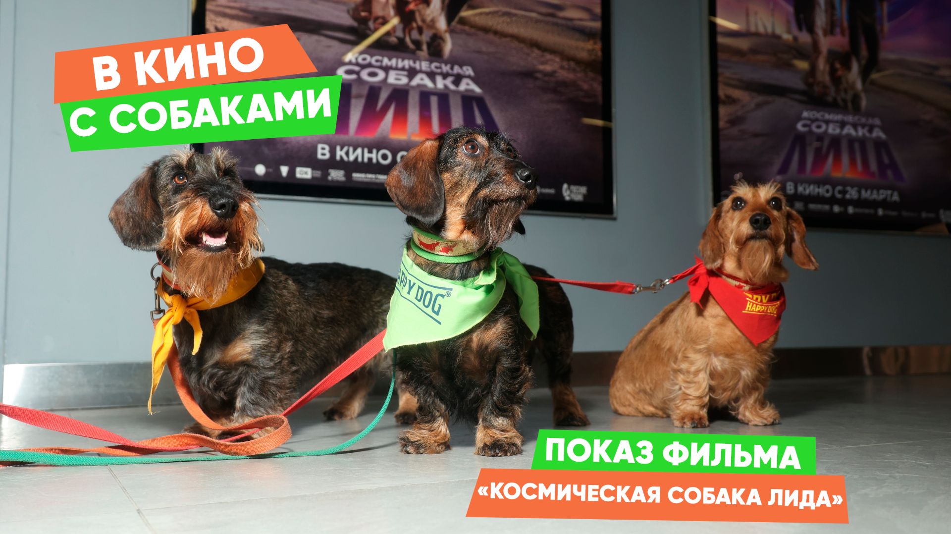 В кино с собаками! Показ фильма «Космическая собака Лида»