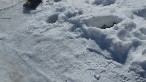 1000060777.mp4