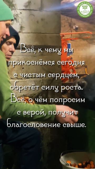 Кормление коров в День благой вести и Небесного благословения, 07.04.2026г.