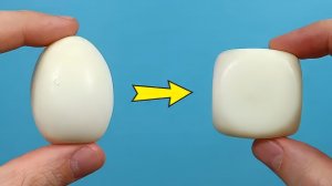 Как превратить обычное яйцо в квадратное Новые гаджеты для яиц!