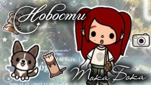 Новости Тока Бока . ЗАБЛОКИРОВАЛИ ?!