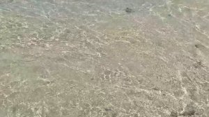 Первый 🏝Остров 07.04.26.