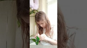 МОНСТРИКСЫ из Магнита