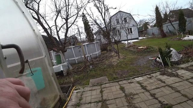 На дачу на дачу на дачу Навестить и открыть розы после снежной зимы.