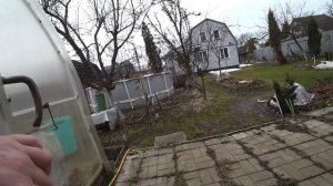 На дачу, на дачу, на дачу… Навестить и открыть розы после снежной зимы.