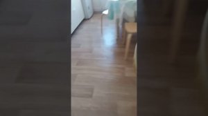 ИРП РАСПОКОВКА 2ЧАСТЬ