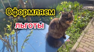 Оформляем ЛЬГОТЫ по инвалидности/Не суйте руки под КАМАЗ/Отели в ЛОДОЧНЫХ БОКСАХ/Море