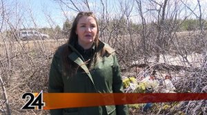 Свалки вдоль дорог