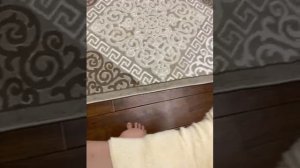 79726891961__A6A0FBAD-4588-43A8-933C-75FAA1AEE1E6