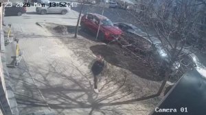 Полицейский вестник 683