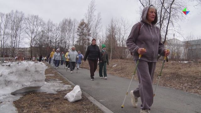 Лесничане присоединились к всероссийской акции «10 000 шагов к жизни»