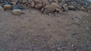 РЫБАЛКА 2021 на ОПАРЫША В ВАНИЛИНЕ! Ловля РЫБЫ на реке на УДОЧКУ рано утром в ИЮЛЕ отчет от 08.07.21