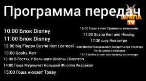 Начало Блока Disney (Шлёпа ТВ 07/04/2026 в 10:05)