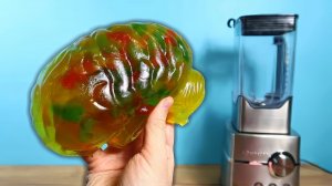 Сделал желейный МОЗГ в натуральную величину и бросил в блендер! Что будет Взрыв мозга!