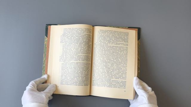 Говард С., Дэнн Р. Шпионаж в рабочем движении (Антикварная книга 1926г.)