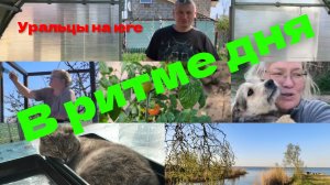 В ритме дня.День из жизни блогеров