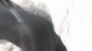 Там, за облаками. Безенги 18-25.08.2011