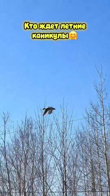 Ждете летние каникулы?🤗