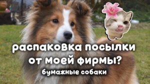 распаковка посылки от моей фирмы 🫶🐾
