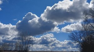 Весенние будни в деревне