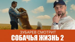 ЗУБАРЕВ СМОТРИТ ▶ СОБАЧЬЯ ЖИЗНЬ 2 ЛУЧШЕЕ С ПРОСМОТРА