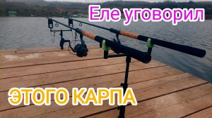 Ошибка, из-за которой я чуть не остался без рыбы! Флэт метод на карпа.