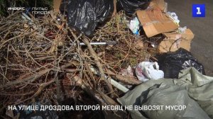 На улице Дроздова второй месяц не вывозят мусор