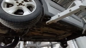 Перец хочет цвести. Сгоняла в автосервис, пикировала томаты, провела водопровод.